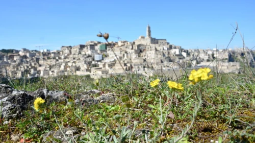 Previsione serale per il 05-05: Ventiquattro ore di sereno con clima primaverile